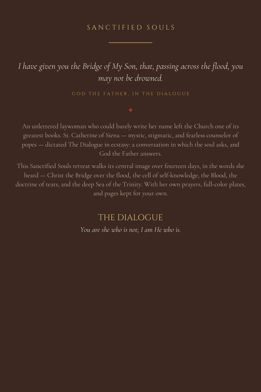 The Dialogue, back cover