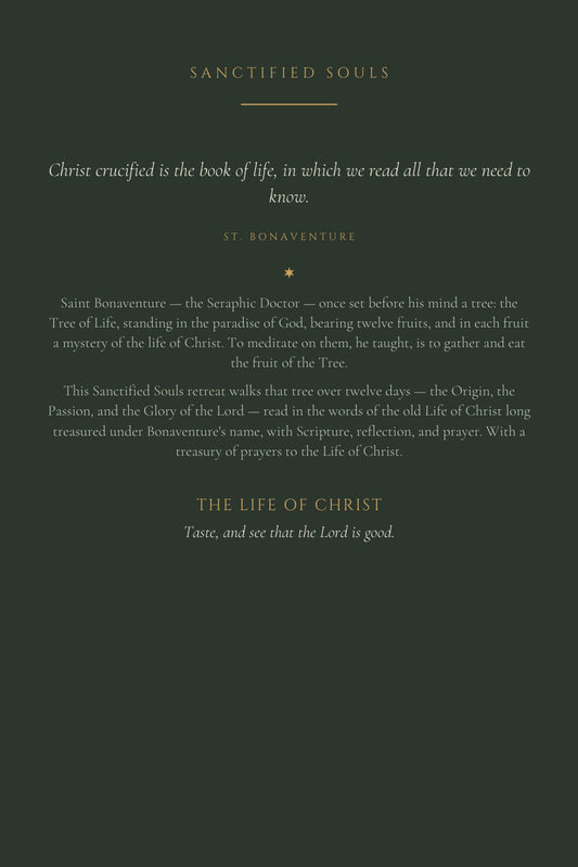 The Life of Christ, back cover