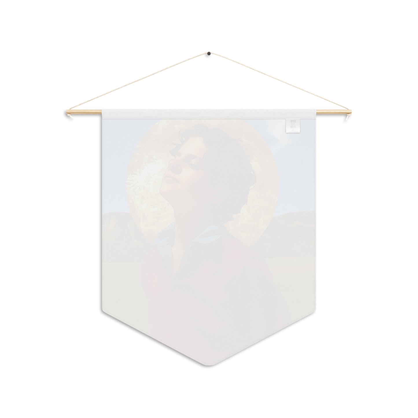 Blessed / Saint Carlo Acutis Pennant / Banner / Wall Hanging - Prayer room art - Catholic Home - 18" x 21"