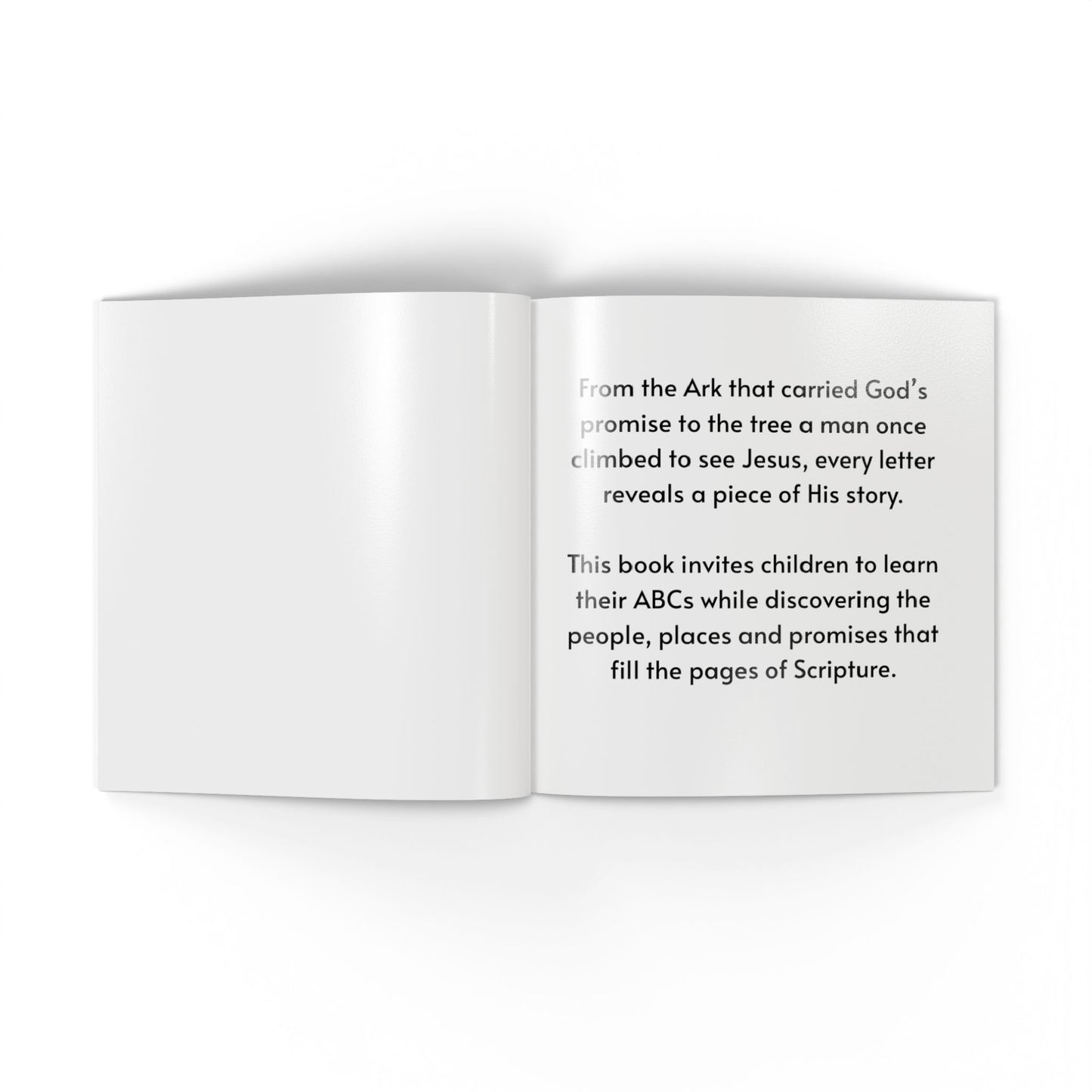 B is for Bethlehem (Softcover) The ABCs of the Bible | Bible Alphabet Book for Kids | Christian Children's Book | Bible Stories