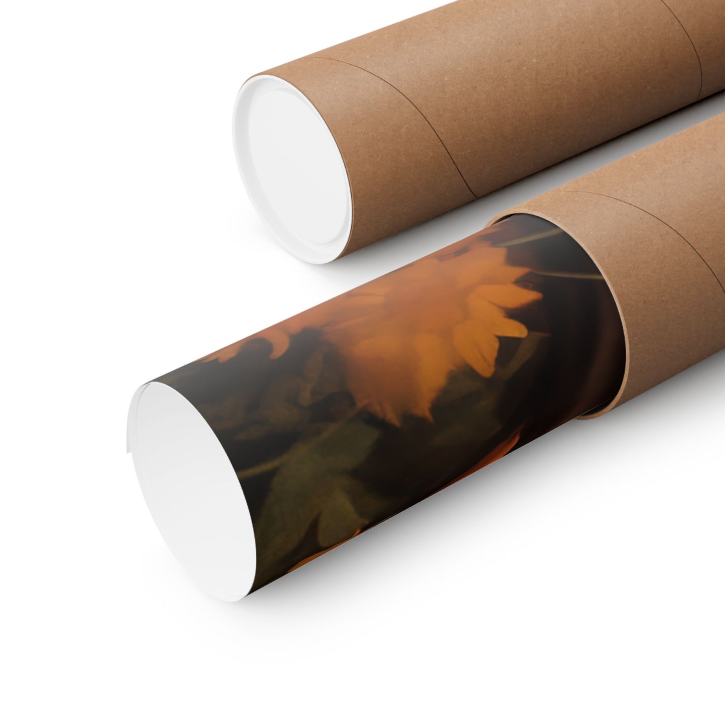 Saint Francis of Assisi - Sanctified Souls Print - Multiple Sizes - Premium Matte Vertical Posters
