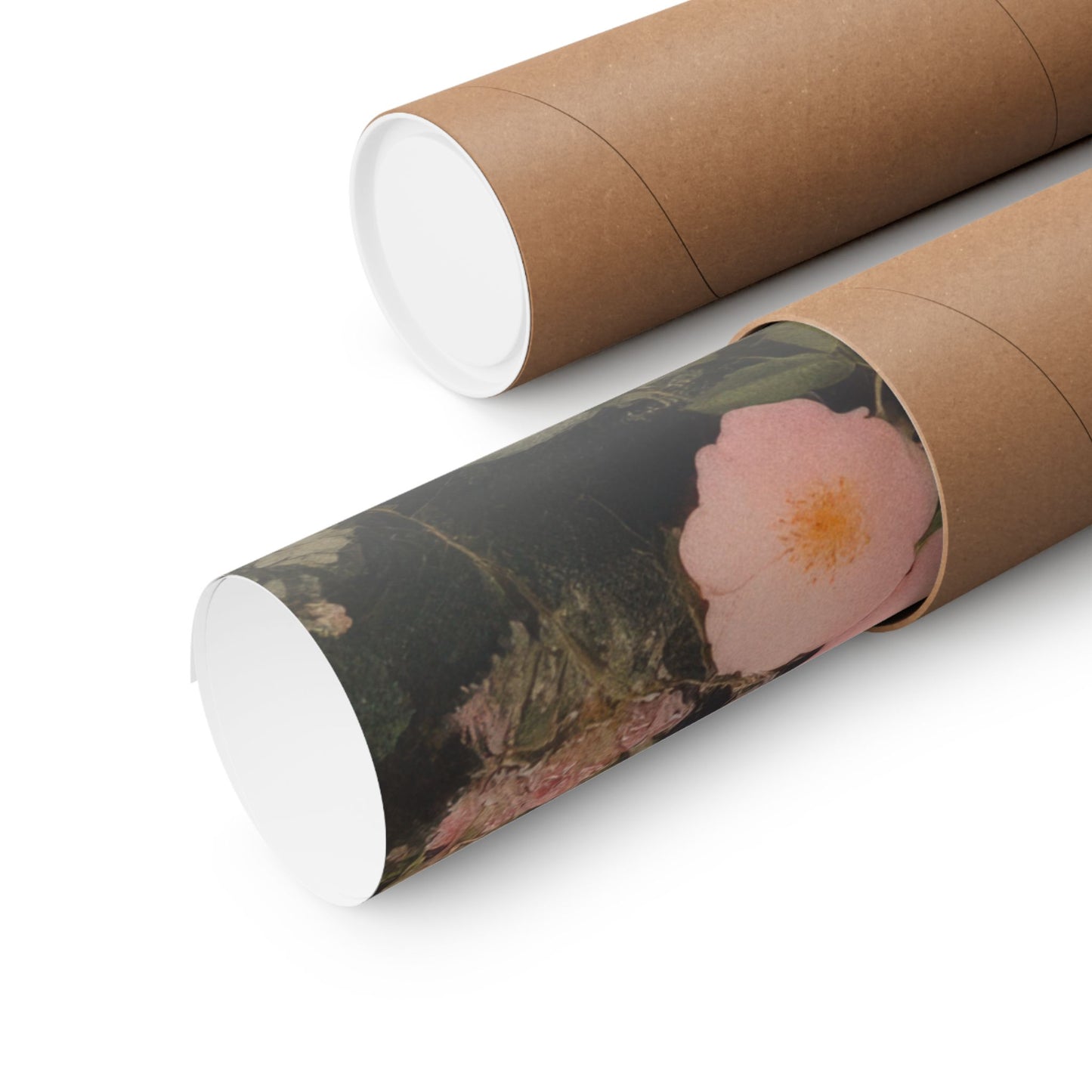 Saint Eve - The First Mother - Sanctified Souls Print - Multiple Sizes - Premium Matte Vertical Posters