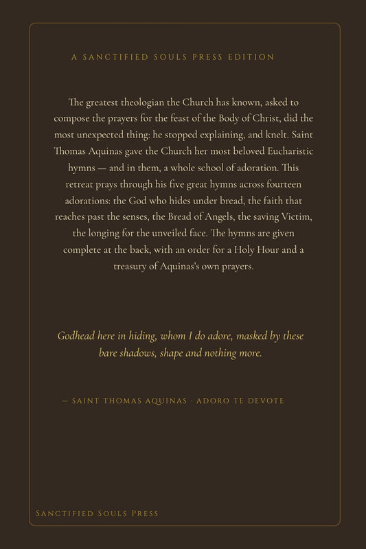 The Hidden God, back cover