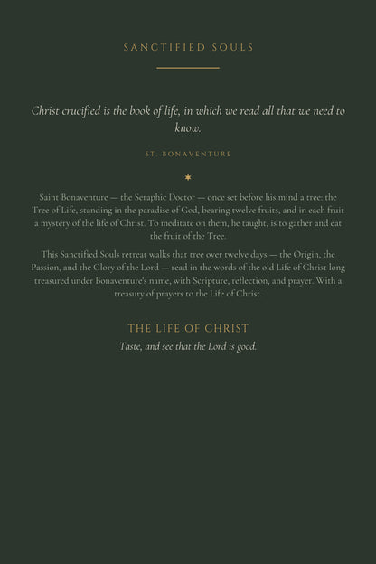 The Life of Christ, back cover